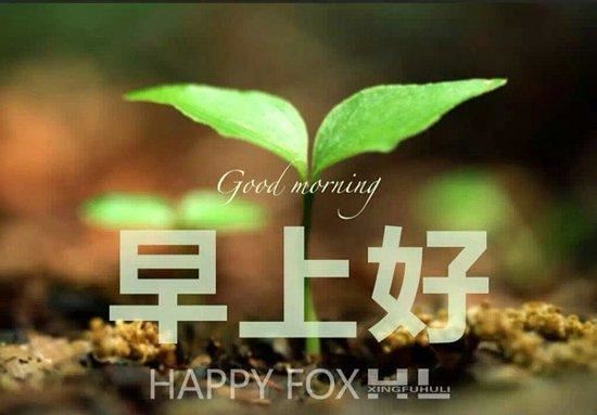摘抄的句子