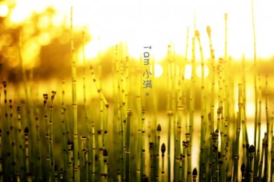 两小儿辩日_原文、翻译