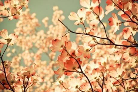 掉牙日记