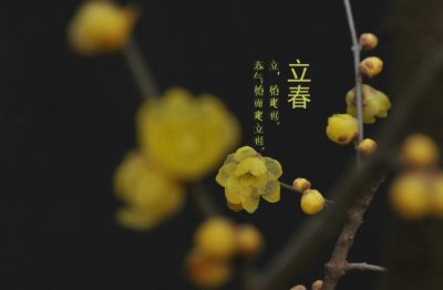 看图写话图片：小猴学艺