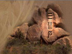 公司财务工作总结