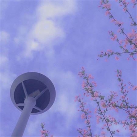 消防安全教育主题班会记录