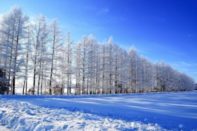 ​产房工作总结