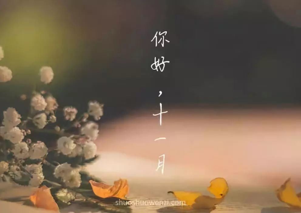 荣誉顾问聘书