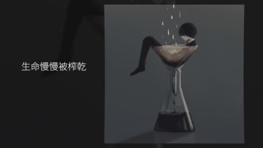 可爱的鹦鹉