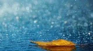 最成功的主题公园 The Most Successful Theme Park