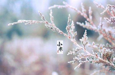 考研怎么报考专业
