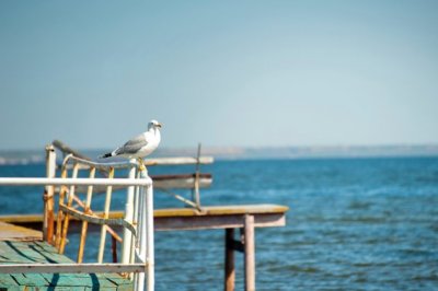 党组织关于全面从严治党主体责任落实情况自查整改报告