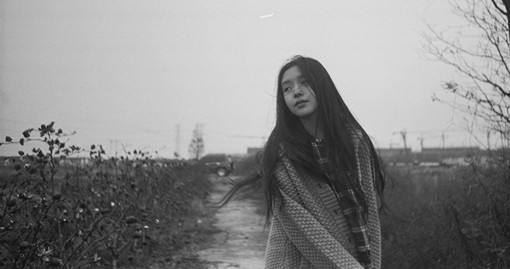 对理想的坚持 Stick to Your Dream