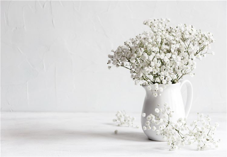 普通话我的理想【4篇】