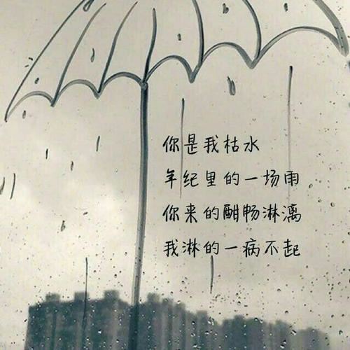 观察小白兔