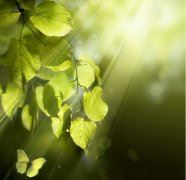 第一次升旗仪式