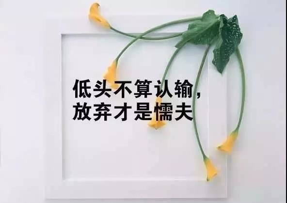 和谐的英语演讲稿-