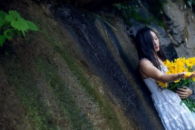 网络软文发布新闻稿发布的中央