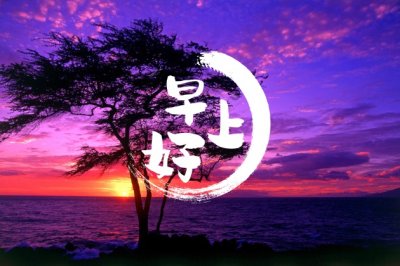 花的一生