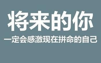 建设项目可行性研究报告