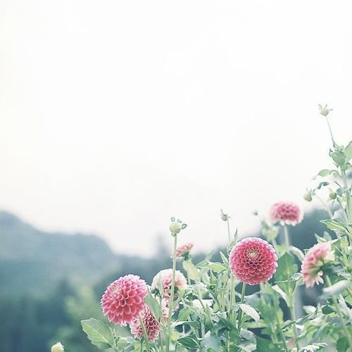 夕照_教学设计