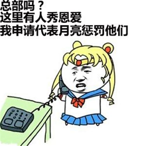 小狗历险记