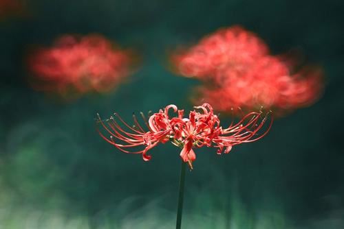 企业单位转正述职报告