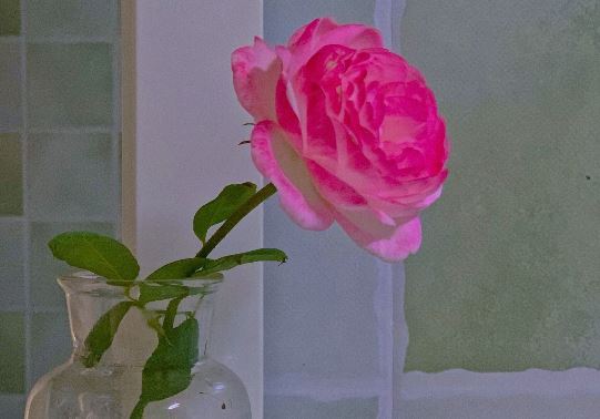 中国美食征服世界 Chinese Food Conquers the World