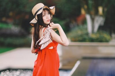 桂花树