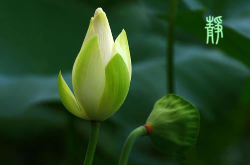 英语教师节贺卡祝福语