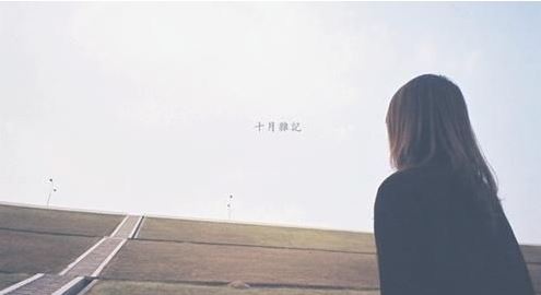带有洪字的成语及其解释