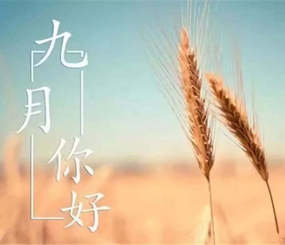 七年级新生的入团申请书