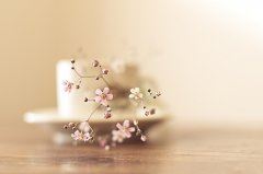 医疗机构设置项目可行性研究报告提纲