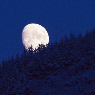 生活哲理短句65条