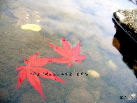 高中优秀学生走过冬天的作文