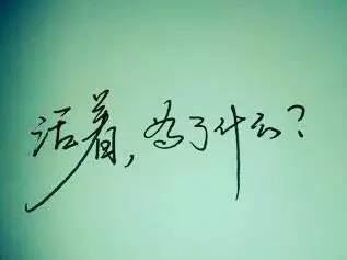 我爱小草四年级作文