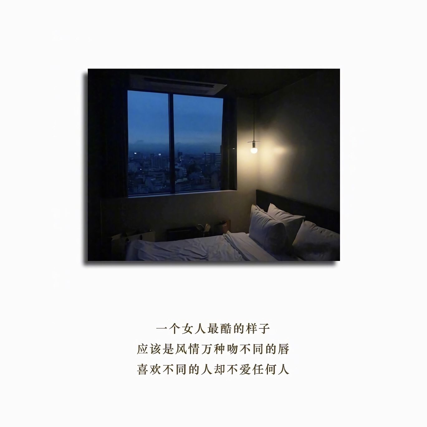 可爱的小兔