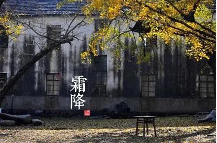 难忘的一天小学三年级作文