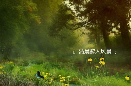 大学生追求时尚College Students Pursue the Fashion