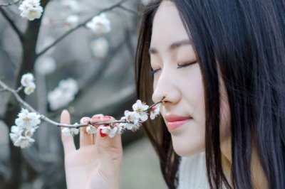 感恩的心到