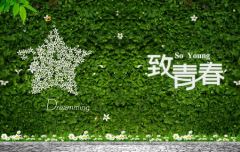 罗生还镯文言文翻译