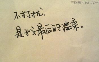 关于金毛犬
