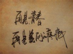 一个名叫小雪的女孩,从草原上一顶孤零零的破优秀微小说