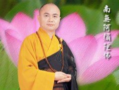 小学优秀作文：大自然的启示
