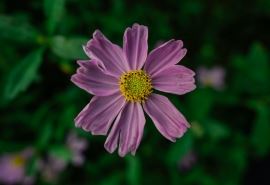 英语班主任的述职报告