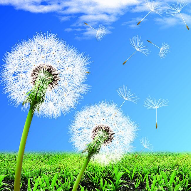 中国银行实习总结