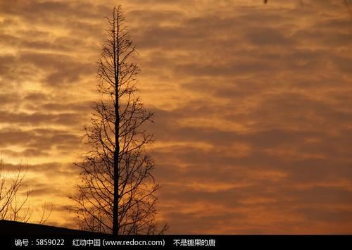 可行性研究报告的写作格式