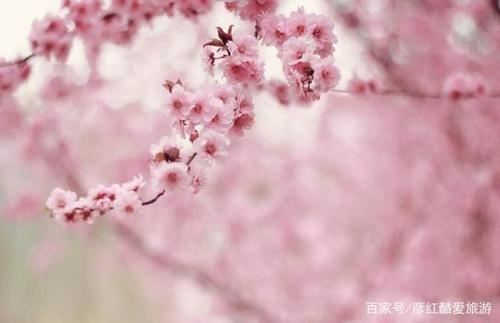 手表