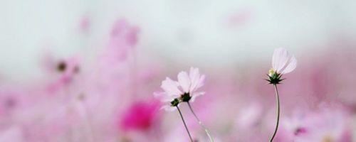 我和我的家乡观后感1500字大学生精选5篇