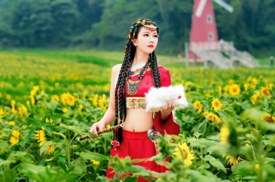 网络研修心得体会