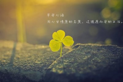经济学专业毕业生自我鉴定怎么写？