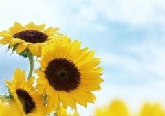 这样的人让我敬佩600字作文精选十篇