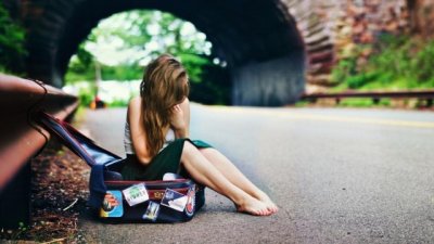 蜜蜂给我的启示