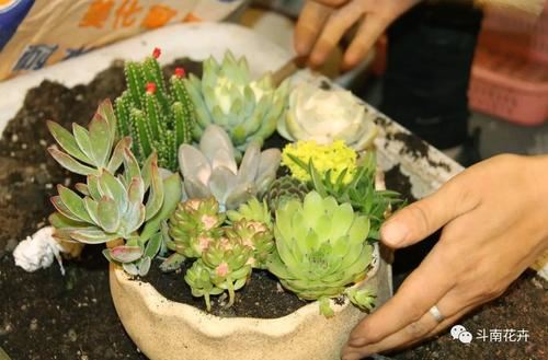 爸爸_我的启蒙老师